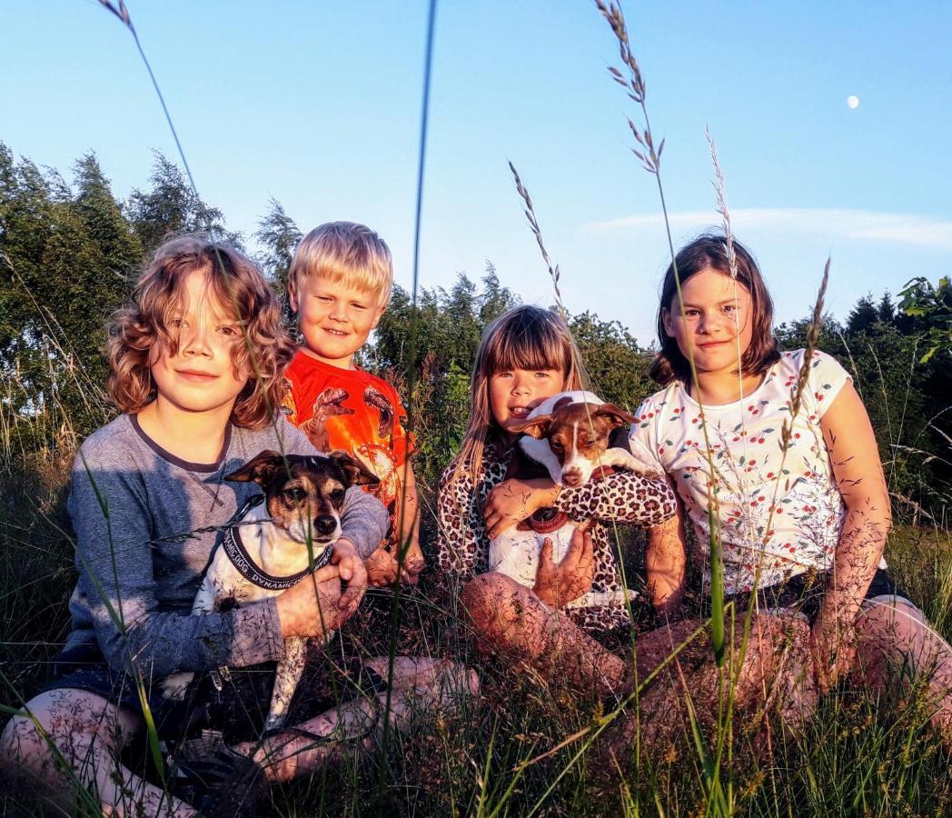 Broesarp Kaellagarden Stora Gardslaegenheten 외부 사진