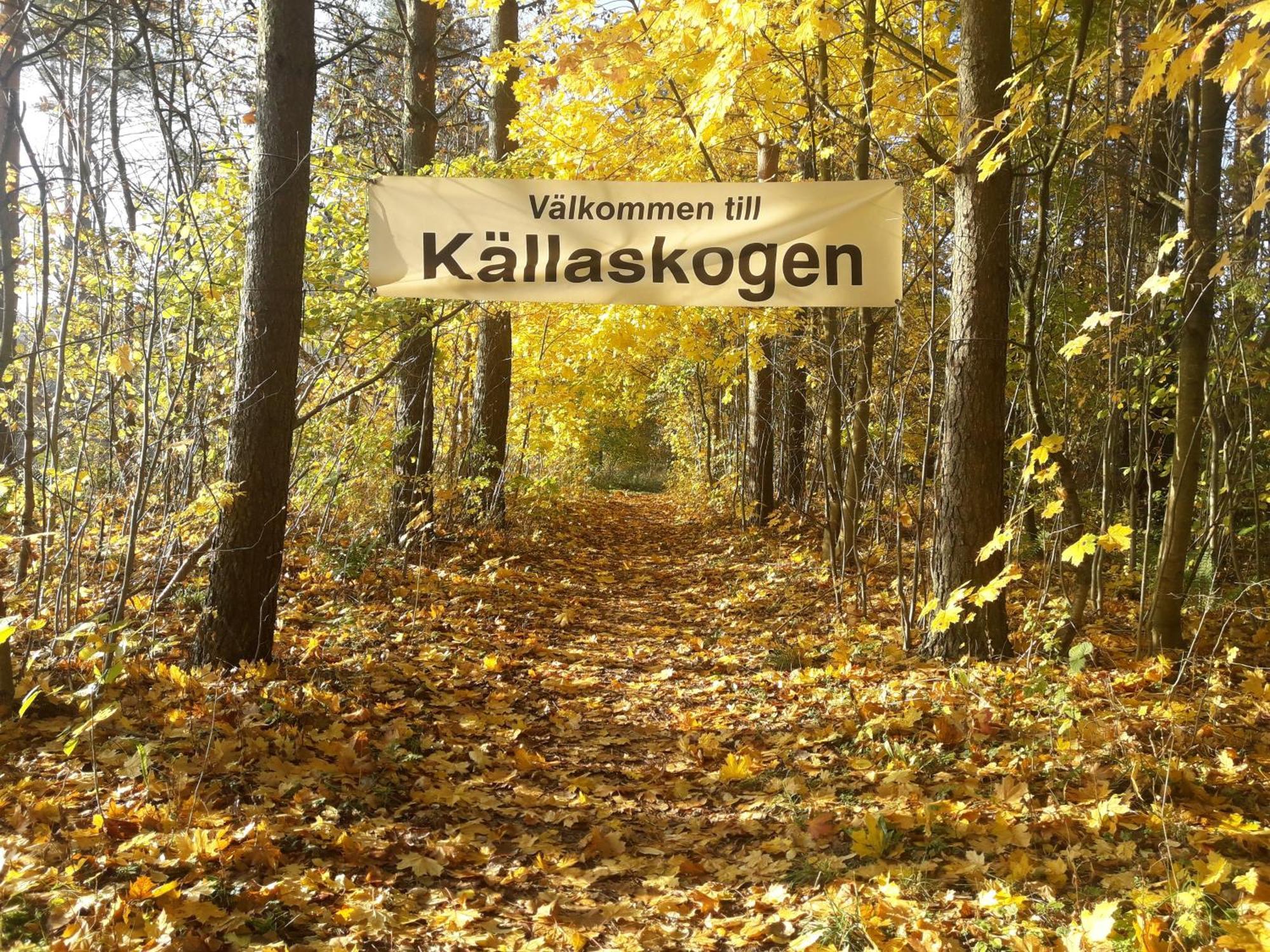 Broesarp Kaellagarden Stora Gardslaegenheten 외부 사진