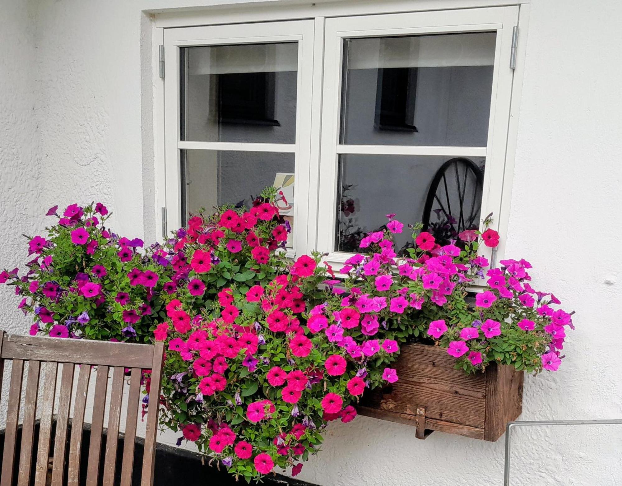Broesarp Kaellagarden Stora Gardslaegenheten 외부 사진
